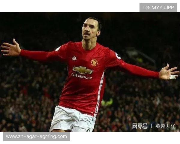 英超球员肖像权比例及相关法律法规解析