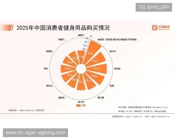 室内健身器材行业现状分析及市场增长趋势