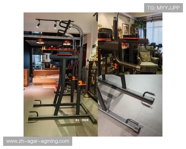 那些健身器材最实用健身教练来推荐